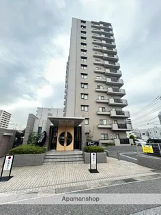 パウロニアビューコートの画像