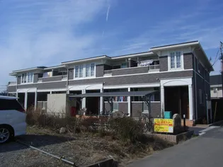 カメリアの画像