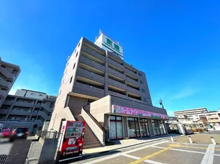 ピュア プリミエールの画像