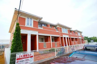 カレント綾瀬の画像