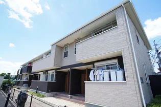 ローレルの画像