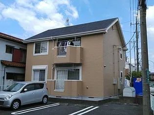 アスコットデイジーの画像