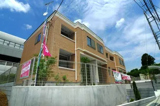 サン リリーの画像