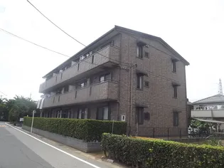 ジャーマンアイリス IIの画像