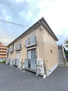 グラシュー アンの画像