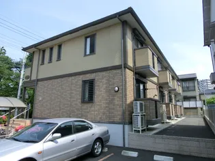 アネシスの画像