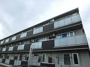 プルミエの画像