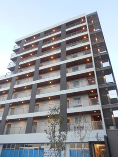 シェルト新都心【6階】の外観