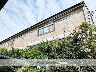 ルーチェミナミの画像