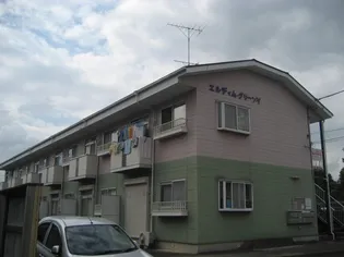 エルディム グリーンYの画像