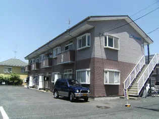 エルディム グリーンYの画像