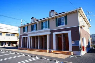 プリムラの画像