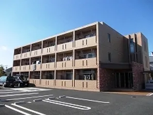 プリムローズの画像