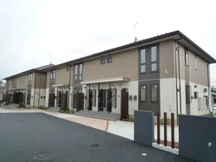 ピルム フローレス Bの画像