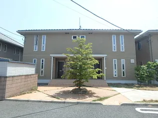 プラナスBの画像