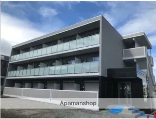 ソレイユ スクワールの画像
