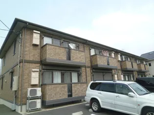 アキュールの画像