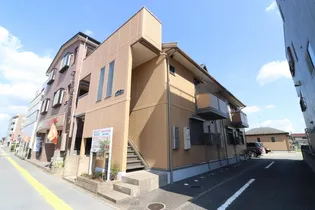 ONLY ONE しまのの画像