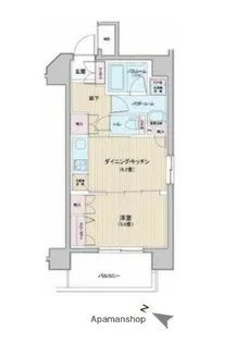 埼玉県さいたま市浦和区常盤3丁目【マンション】の間取り