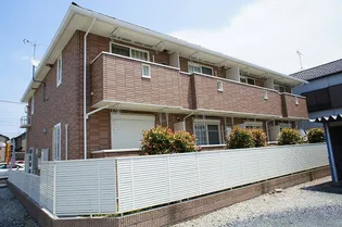 プラシードの画像