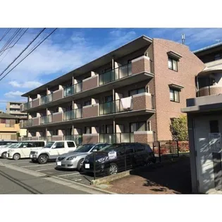 パーシモン アビデの画像