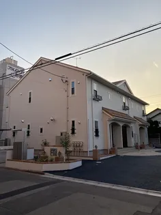 フィルリリーの画像