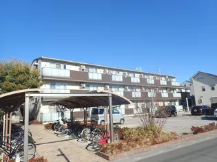 プルミエの画像