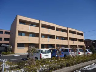 シュプリーム フィオレの画像