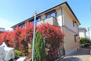 エミールの画像