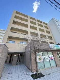 アルカータ壽の画像