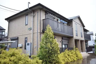 ハナミズキの画像