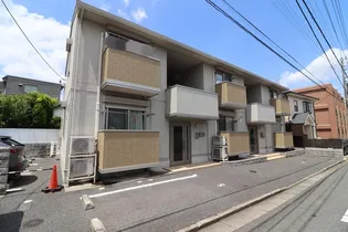 ココ プリンセスの画像