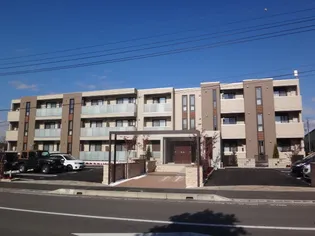 シャルマンの画像