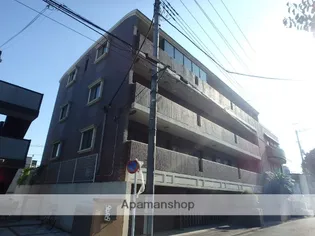 セレッサY'Sの画像