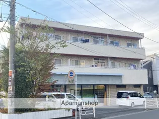 セントラルパークの画像