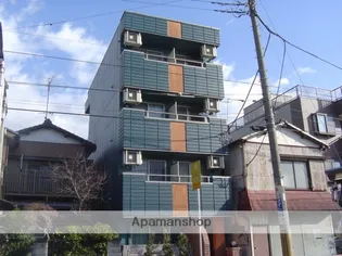 ドルチェ 芝の画像