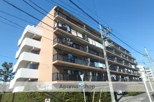 ゼルコーバ1の画像