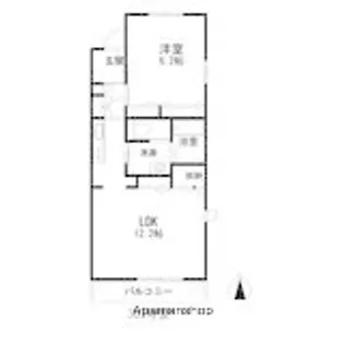 ハレマルラニ【203号室】の間取り