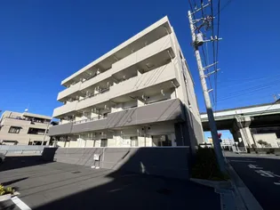 カンフリエの画像