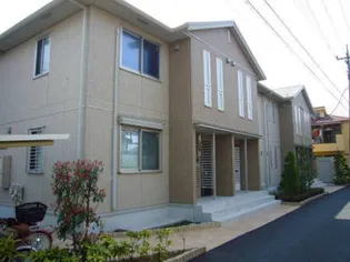 ステラポラーレの画像