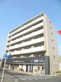 FREESIA.Y【5階】の外観