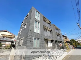 グレースの画像