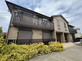 ハナミズキの画像