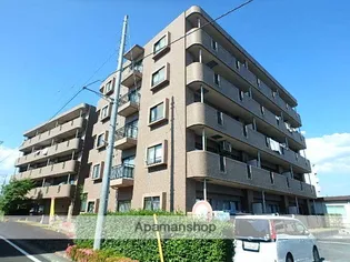 アスピシャスの画像