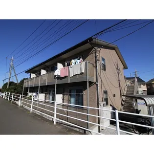 アムールロワの画像