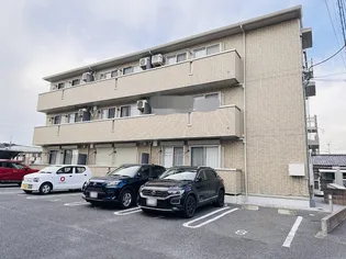 グレイスの画像