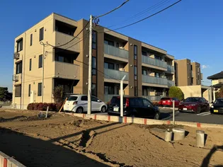 シャルマンの画像