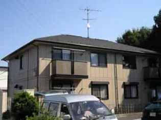 コートビビットの画像