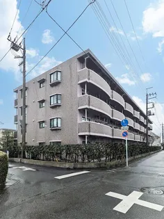 フローレスタ カーサの画像