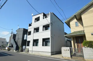 NOIX NEUFの画像